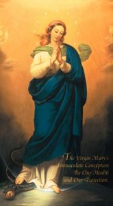Immaculate Conception Chaplet of the 10 Evangelical Virtues of the Blessed Virgin Mary