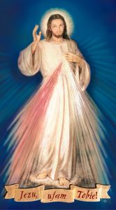 Chaplet of The Divine Mercy Prayer Card, Hyla, Polish