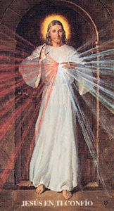 Chaplet of the Divine Mercy Prayer Card, Skemp, Spanish